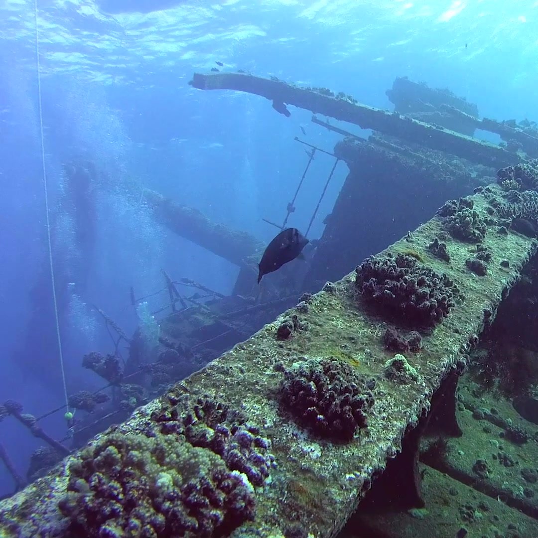 Inspection of underwater shipwreck