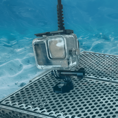 Seavu Seeker Universal Mount with action camera attached underwater.