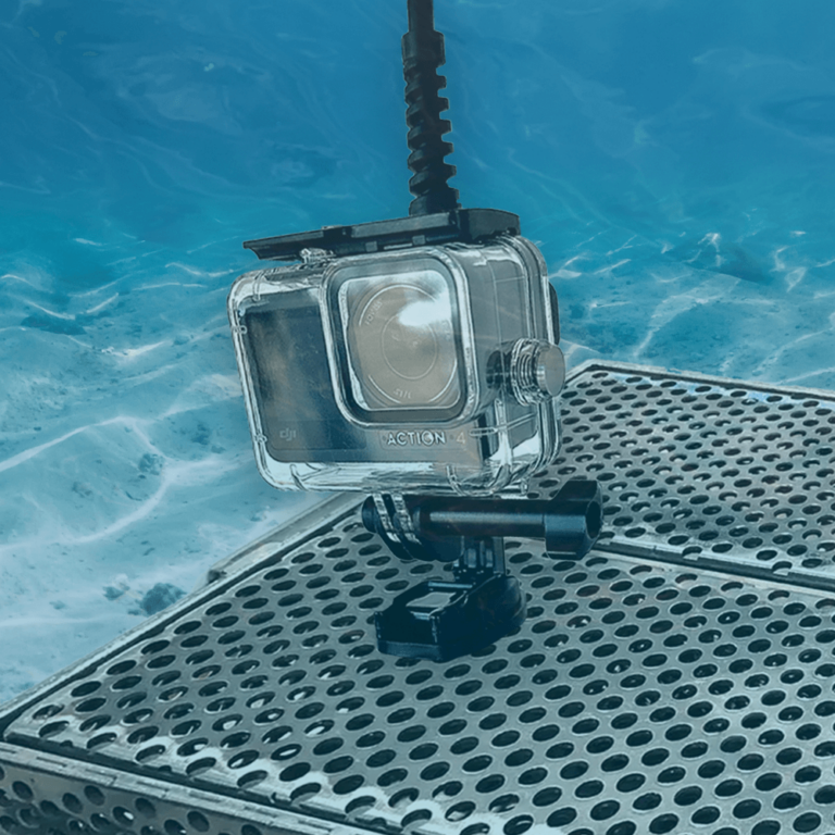 Seavu Seeker Universal Mount with action camera attached underwater.